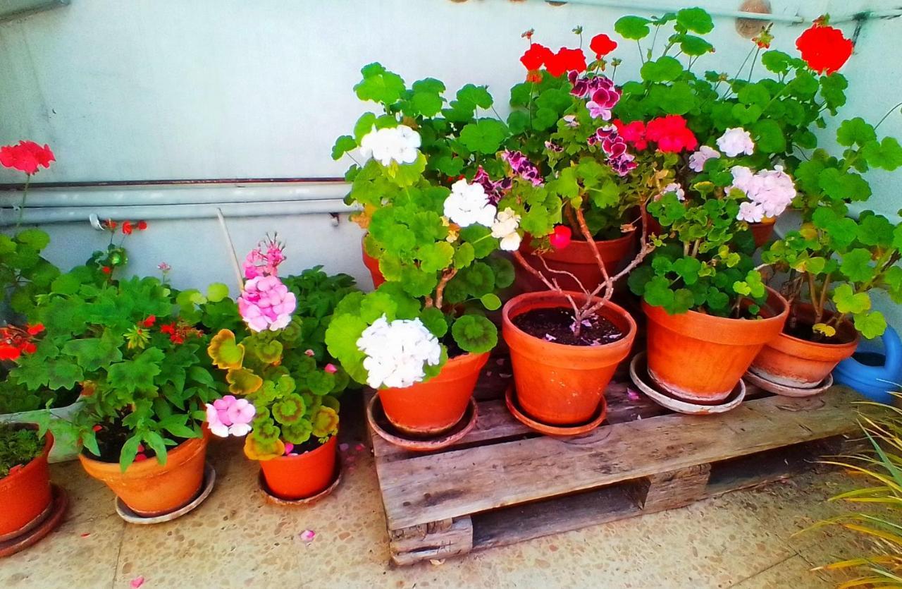 Hostal Pension Mar De Plata لوغو المظهر الخارجي الصورة